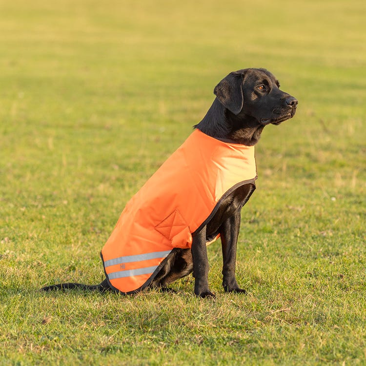 Benji &amp; Flo Reflector Waterproof Dog Coat by Hy Equestrian image 5